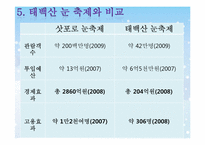 [이벤트개론] 삿포로 눈 축제 성공요인(태백산 눈 축제와 비교)-19
