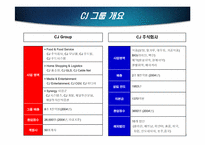 [인적자원관리] CJ성과주의 인사제도-직무 성과급제도를 중심으로-2