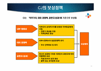 [인적자원관리] CJ성과주의 인사제도-직무 성과급제도를 중심으로-11