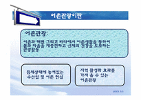 [관광학] 테마관광의 전망-문화예술관광, 크루즈관광, 어촌관광-13