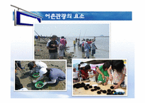 [관광학] 테마관광의 전망-문화예술관광, 크루즈관광, 어촌관광-14