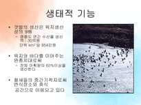 [관광자원론] 농어촌관광자원과 갯벌-12