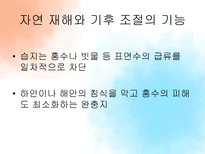 [관광자원론] 농어촌관광자원과 갯벌-14