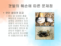 [관광자원론] 농어촌관광자원과 갯벌-18