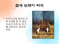 [관광자원론] 농어촌관광자원과 갯벌-19