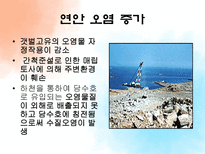 [관광자원론] 농어촌관광자원과 갯벌-20