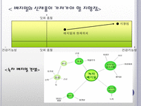 [마케팅] 장식품의 `베지밀` 장수비결과 발전방향-11