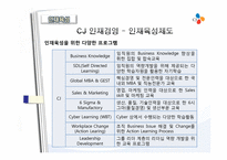 [인력경영론] CJ의 인사제도 변천사-성과도를 중심으로-17