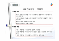[인력경영론] CJ의 인사제도 변천사-성과도를 중심으로-18