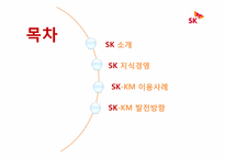 [경영학] SK-KM 이용사례 및 발전방안-2