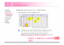 [광고마케팅] 대학생을 타겟으로 한 애니콜 브랜드 IMC커뮤니케이션 전략-5