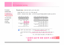 [광고마케팅] 대학생을 타겟으로 한 애니콜 브랜드 IMC커뮤니케이션 전략-6