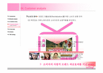 [광고마케팅] 대학생을 타겟으로 한 애니콜 브랜드 IMC커뮤니케이션 전략-14