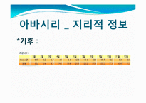 [관광학] 아바시리 유빙관광-7