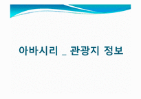 [관광학] 아바시리 유빙관광-8