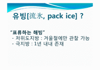 [관광학] 아바시리 유빙관광-10