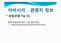 [관광학] 아바시리 유빙관광-11