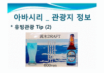 [관광학] 아바시리 유빙관광-12