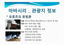 [관광학] 아바시리 유빙관광-13