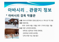 [관광학] 아바시리 유빙관광-14