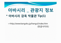 [관광학] 아바시리 유빙관광-15