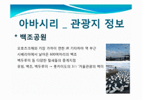 [관광학] 아바시리 유빙관광-17