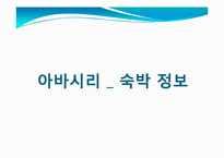 [관광학] 아바시리 유빙관광-18