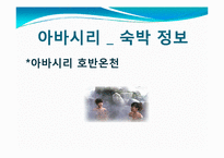 [관광학] 아바시리 유빙관광-19