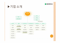 [경영학] 광동제약-비타500 마케팅 성공 사례-5