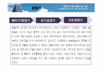 [벤처경영론] 벤처 창업 성공, 실패사례-비트컴퓨터, Netscape-8