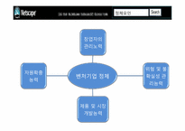 [벤처경영론] 벤처 창업 성공, 실패사례-비트컴퓨터, Netscape-15