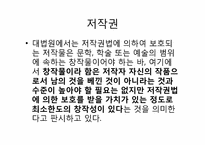 [전자상거래] 지적재산권의 종류와 사례-5