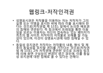 [전자상거래] 지적재산권의 종류와 사례-11