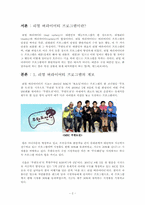 [대중문화론] 예능프로그램의 리얼 버라이어티 획일화 현상-3