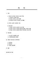 [지역사회복지] 부천시 외국인 노동자의 고용문제 해결을 위한 방안-2