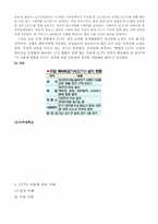 범죄예방도구로서의 CCTV 문제점과 개선방안-8