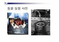 톰리건 `우리를 비워라`도서 요약 및 동물실험에 대한 고찰-7