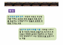 종묘제례악과 문묘제례악-8