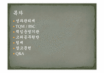 [행정학] 행정혁신 성공, 실패 사례-2