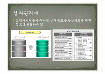[행정학] 행정혁신 성공, 실패 사례-3