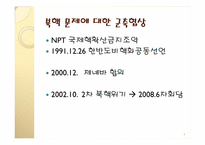 [정치외교학] 국제정치이론과 군축-5