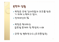 [정치외교학] 국제정치이론과 군축-8