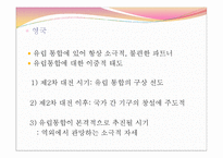 [유럽정치] 유럽 통합과 국민국가-창설국가와 1,2,3차 확대 15개국까지-17