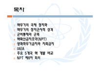 [국제기구론] 핵무기와 IAEA-2