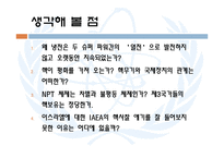 [국제기구론] 핵무기와 IAEA-3