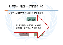 [국제기구론] 핵무기와 IAEA-6