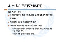 [국제기구론] 핵무기와 IAEA-19