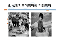 [국제기구론] 핵무기와 IAEA-20
