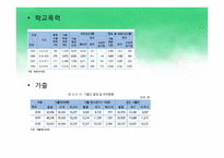 [사회복지] 청소년복지의 실태와 문제점 및 대안-13