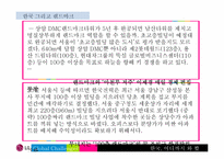 한국의 세계적인 랜드마크 육성 방안-4